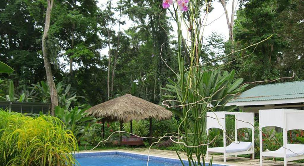 Vip Hotel Playa Negra Puerto Viejo de Talamanca Exterior photo