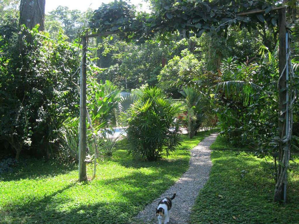 Vip Hotel Playa Negra Puerto Viejo de Talamanca Exterior photo