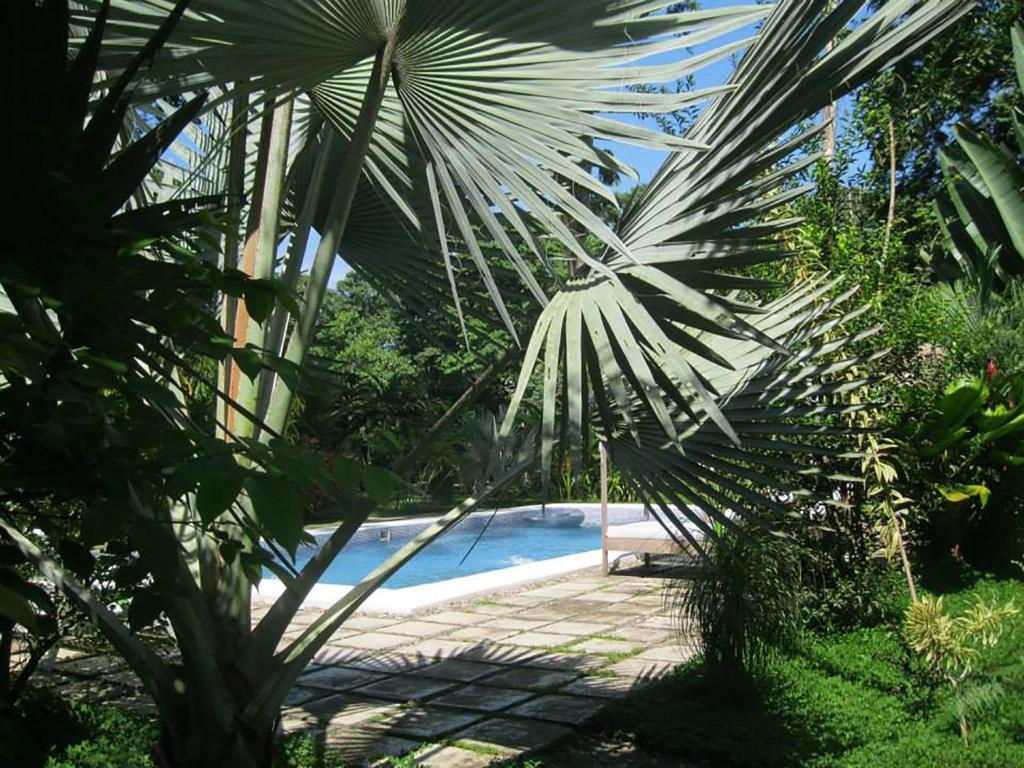 Vip Hotel Playa Negra Puerto Viejo de Talamanca Exterior photo