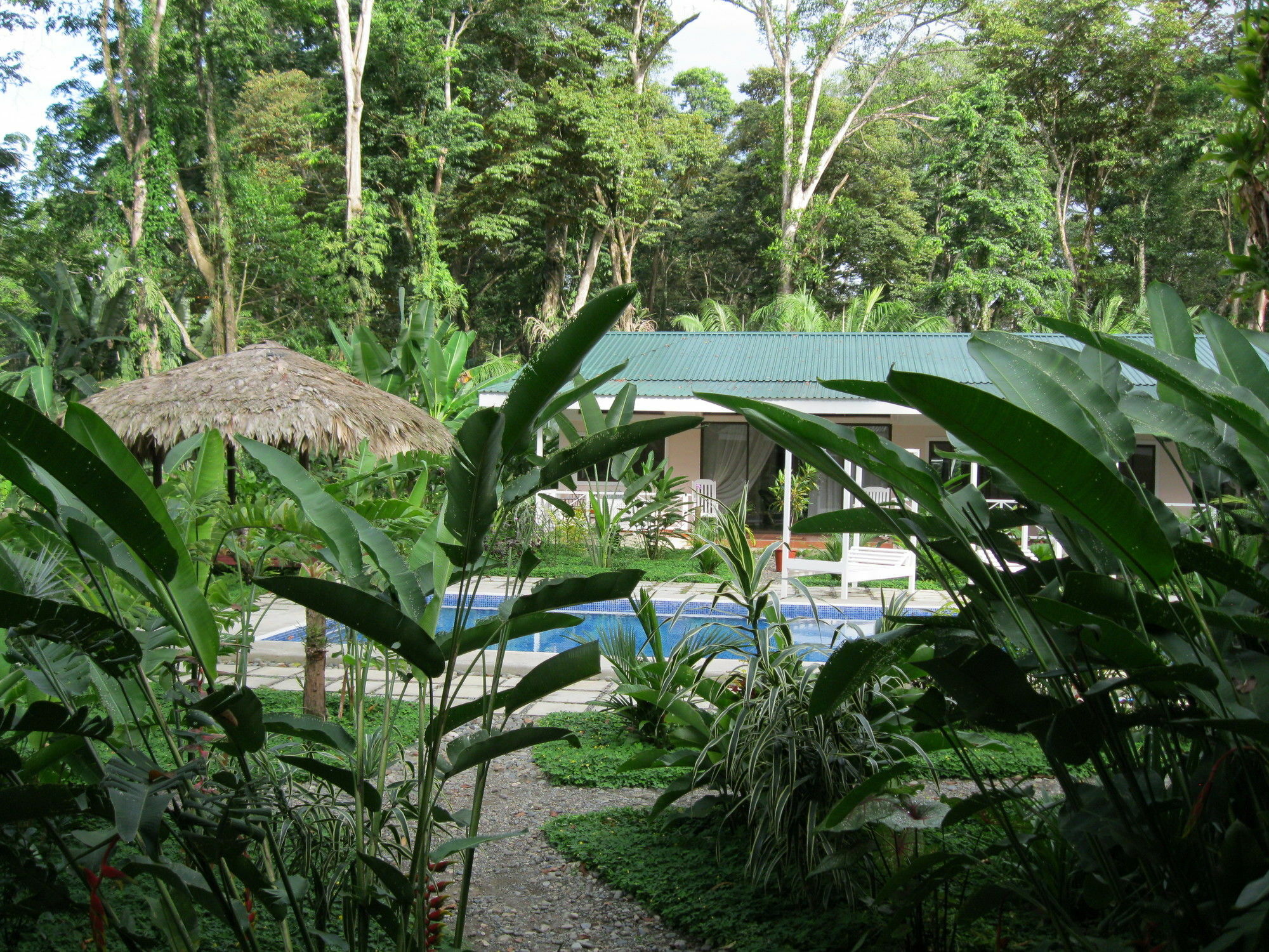 Vip Hotel Playa Negra Puerto Viejo de Talamanca Exterior photo